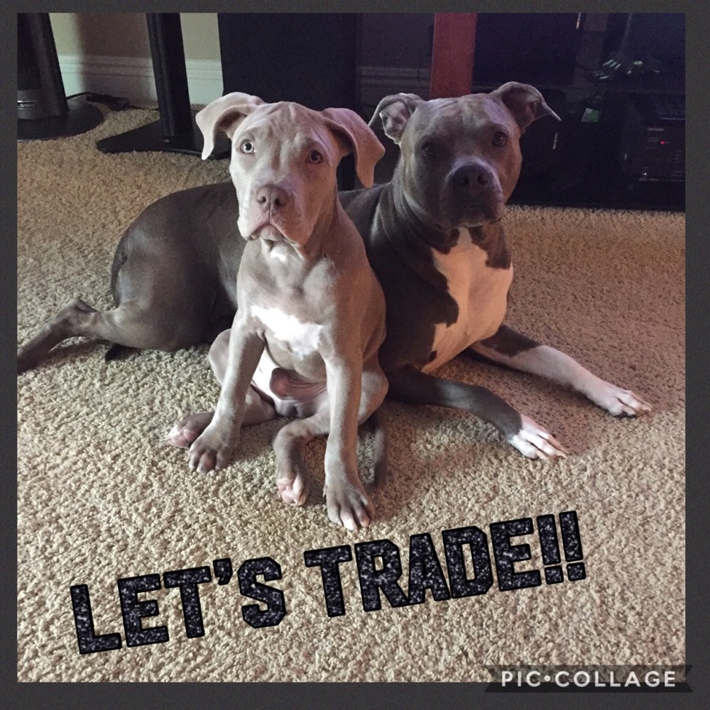 💞TRADE FOR @snl36 only!! 💞
